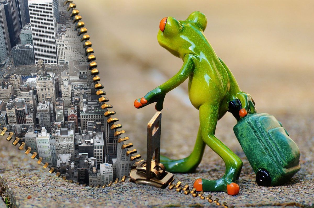 How to change your business culture - frog showing time for a change